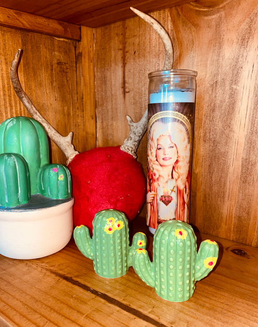 Cactus Salt & Pepper Shaker Set