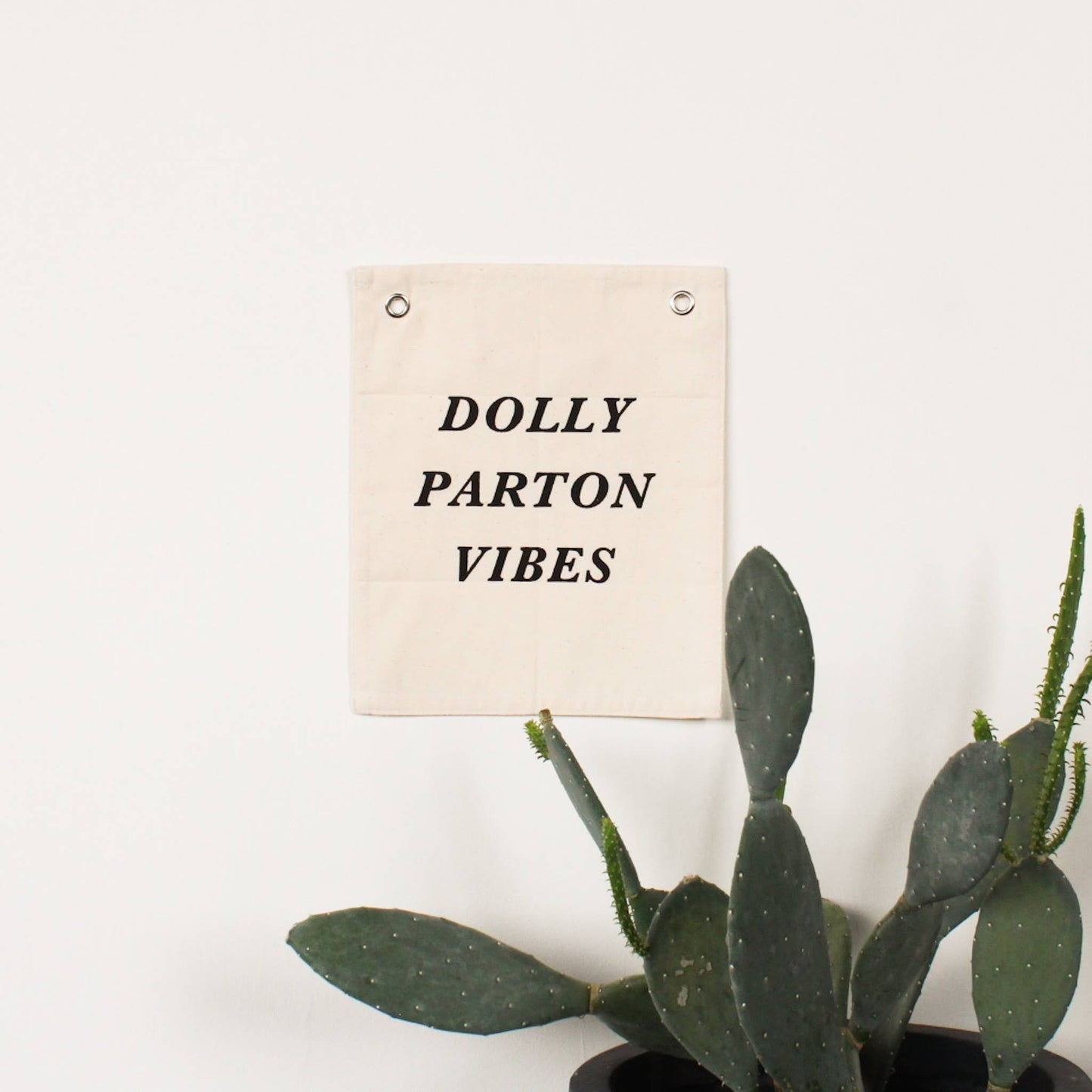 Dolly Parton Vibes Banner