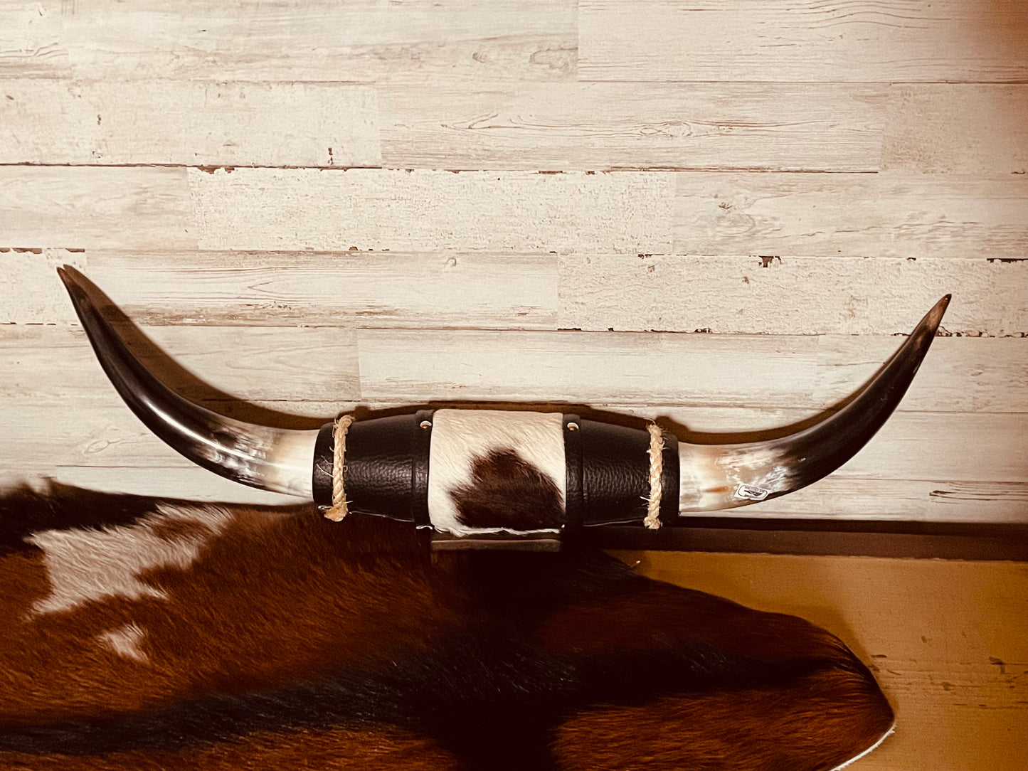 Authentic Polished Horns