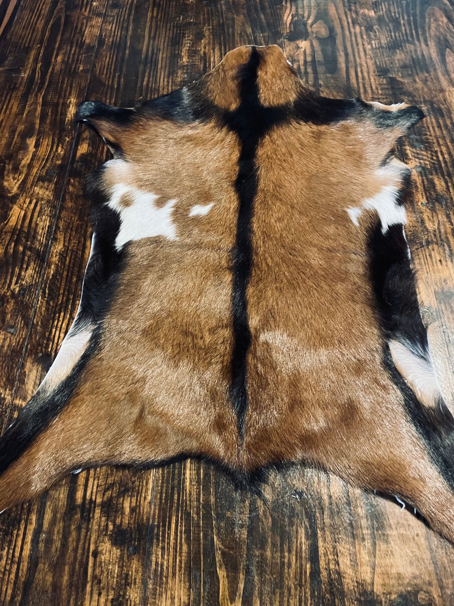 Authentic Goat Hide