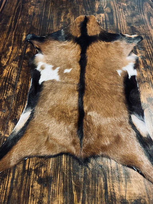 Authentic Goat Hide